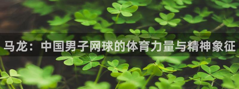 马龙：中国男子网球的体育力量与精神象征