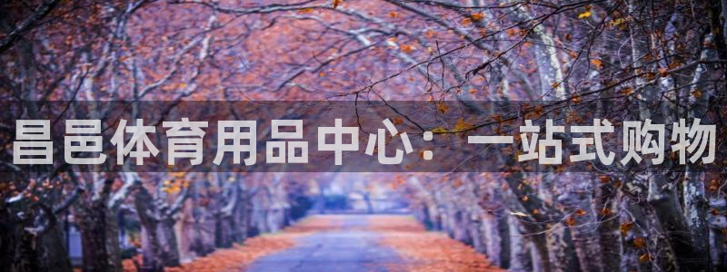 昌邑体育用品中心：一站式购物